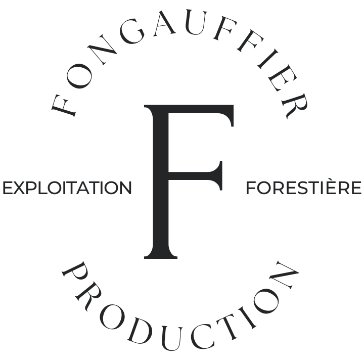 Fongauffier mobilier decoration Sarlat Production nb trsp