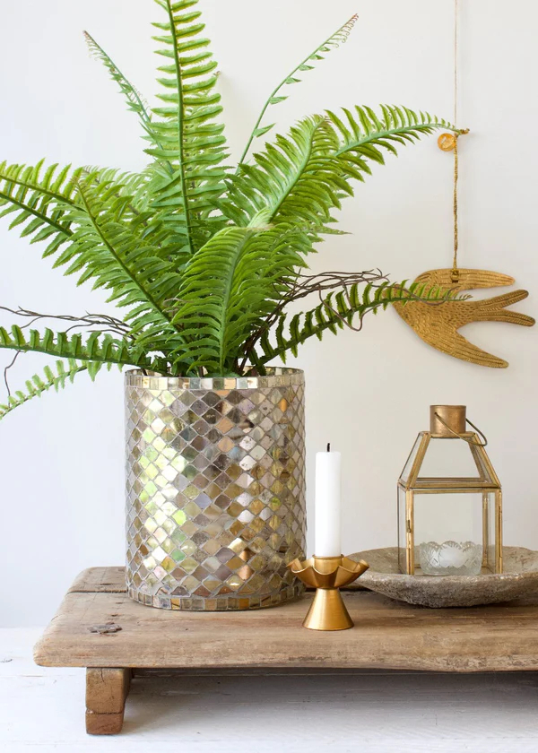 fongauffier sarlat dordogne de weldaad (13)