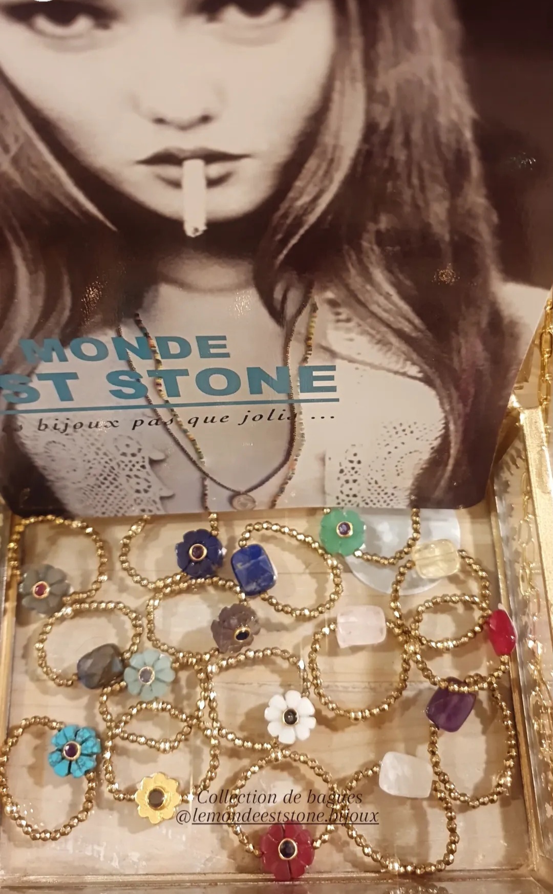 fongauffier sarlat dordogne scarlet (6)